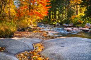 Jefferson Brook-1.jpg Jefferson Brook-1.jpg